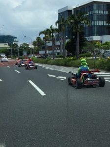 沖縄でよく出没するもの