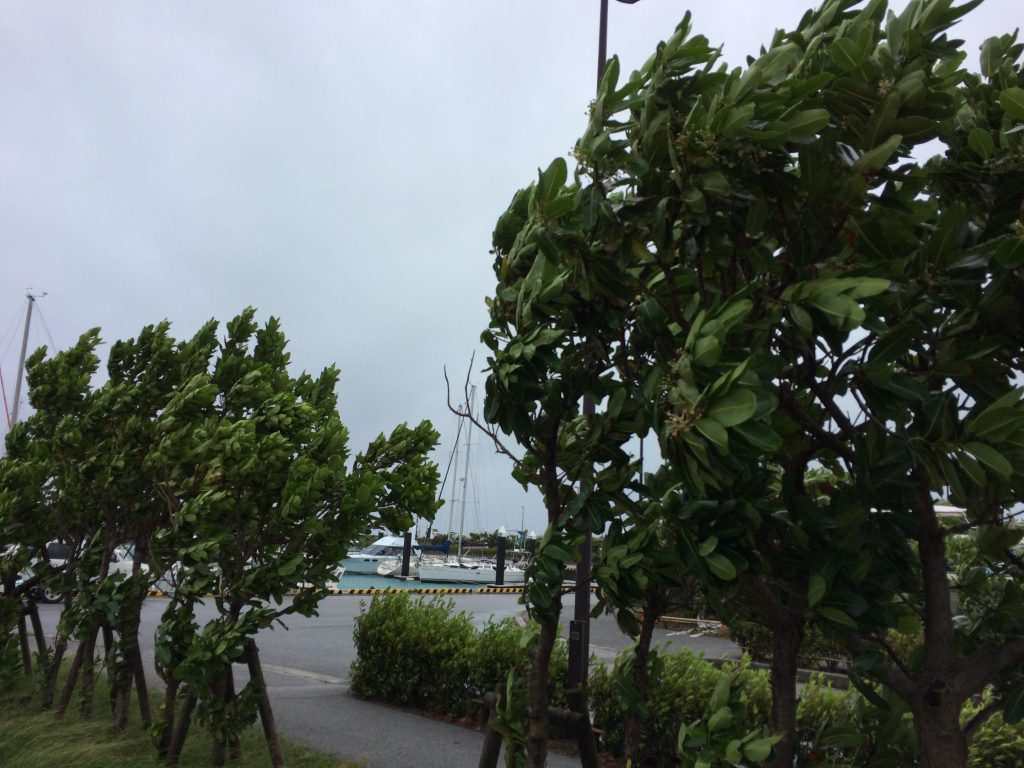 台風終わりました